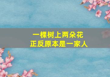 一棵树上两朵花 正反原本是一家人